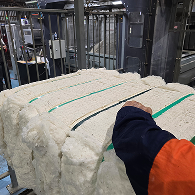 PET strapping applied to wool bales