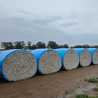 large wool bales